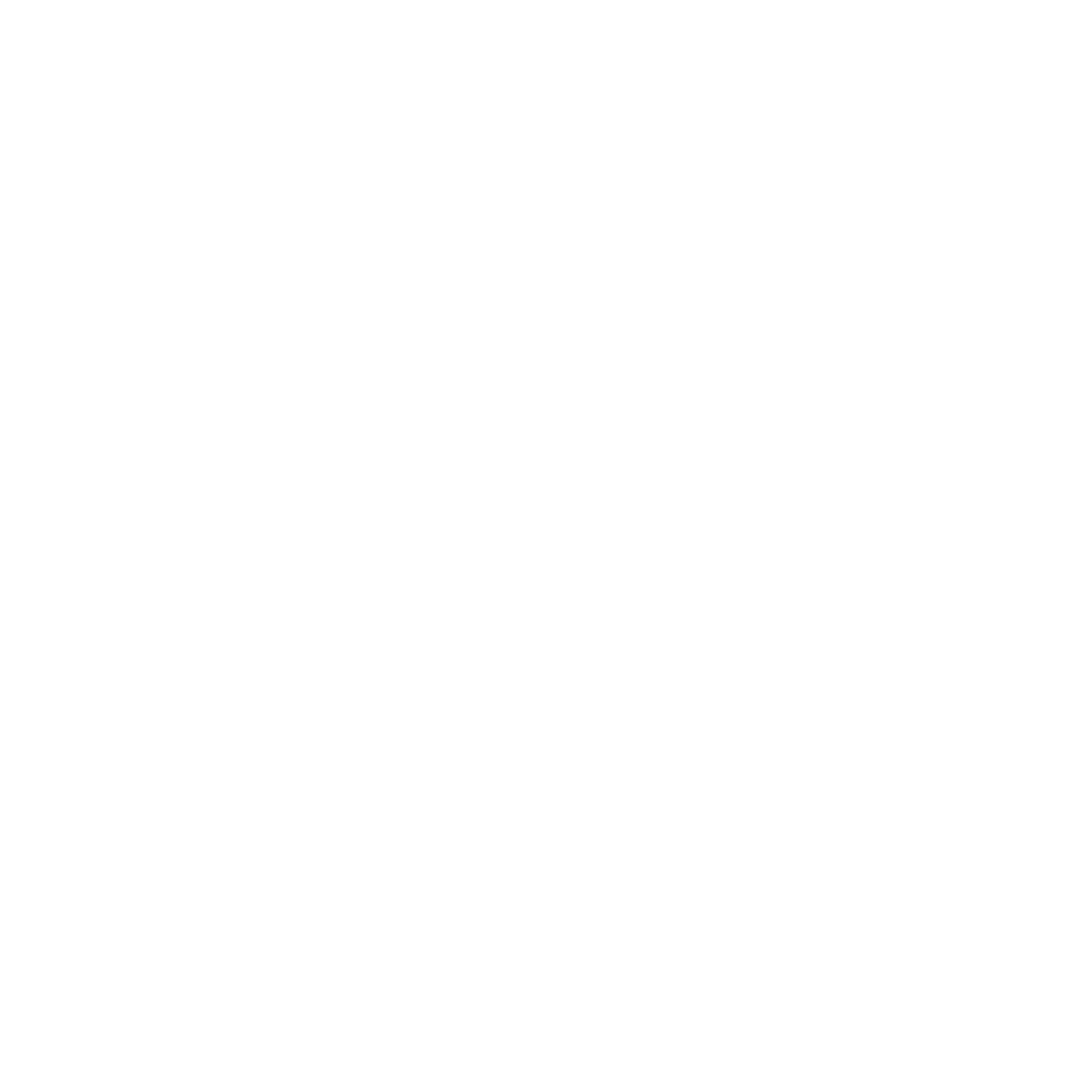 AirFellow logo — light variant